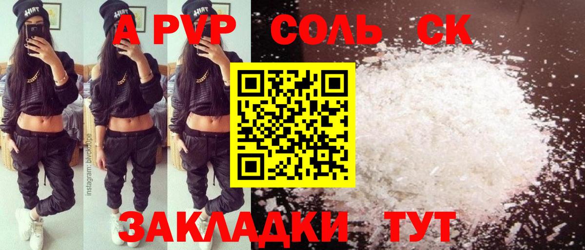 Альфа ПВП СК Майкоп