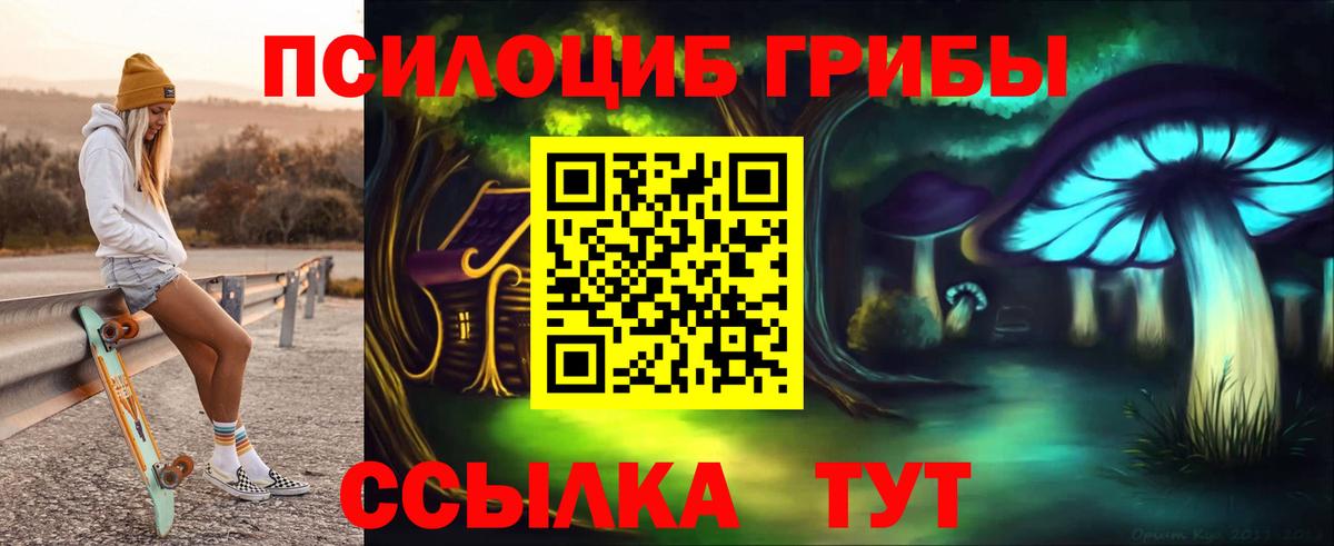Майкоп  Псилоцибиновые грибы GOLDEN TEACHER  Вход с VPN 